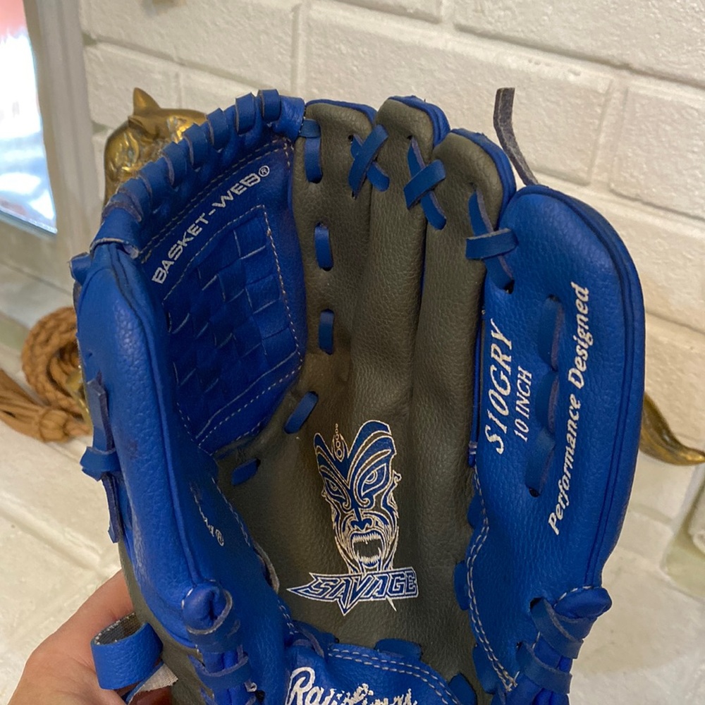 Rawlings Savage 10 inch ball glove.